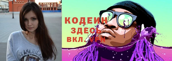 индика Богородицк