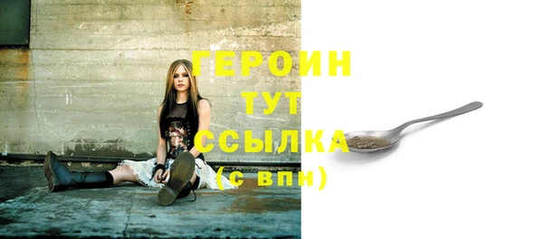 индика Богородицк