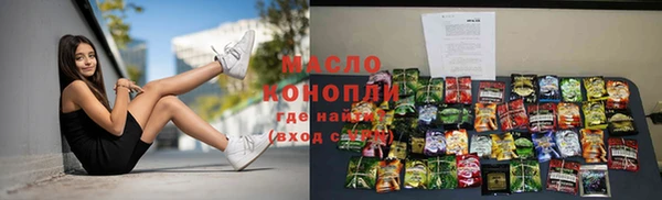 индика Богородицк