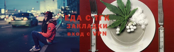 индика Богородицк