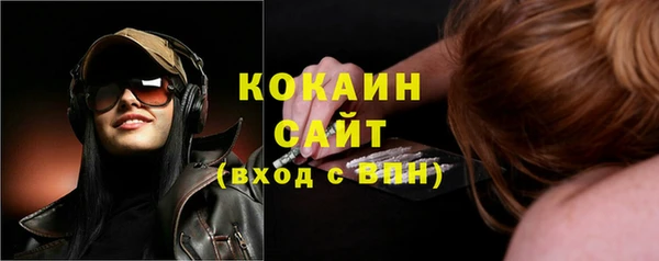 тгк Богданович