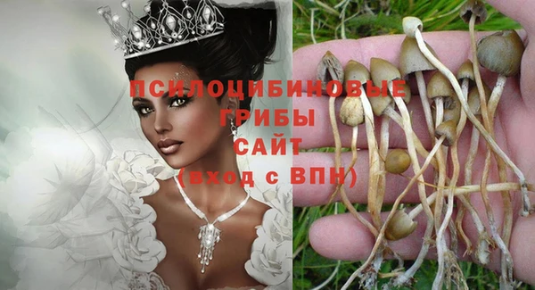 mix Арсеньев