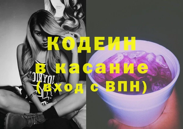 индика Богородицк