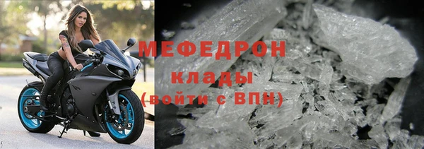 индика Богородицк
