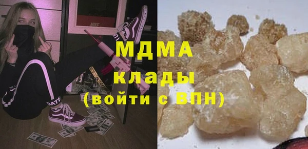 индика Богородицк