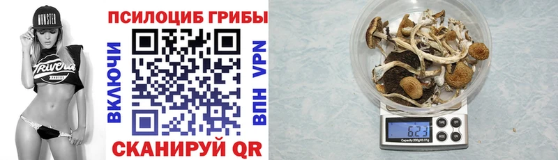 Галлюциногенные грибы прущие грибы  Ногинск 