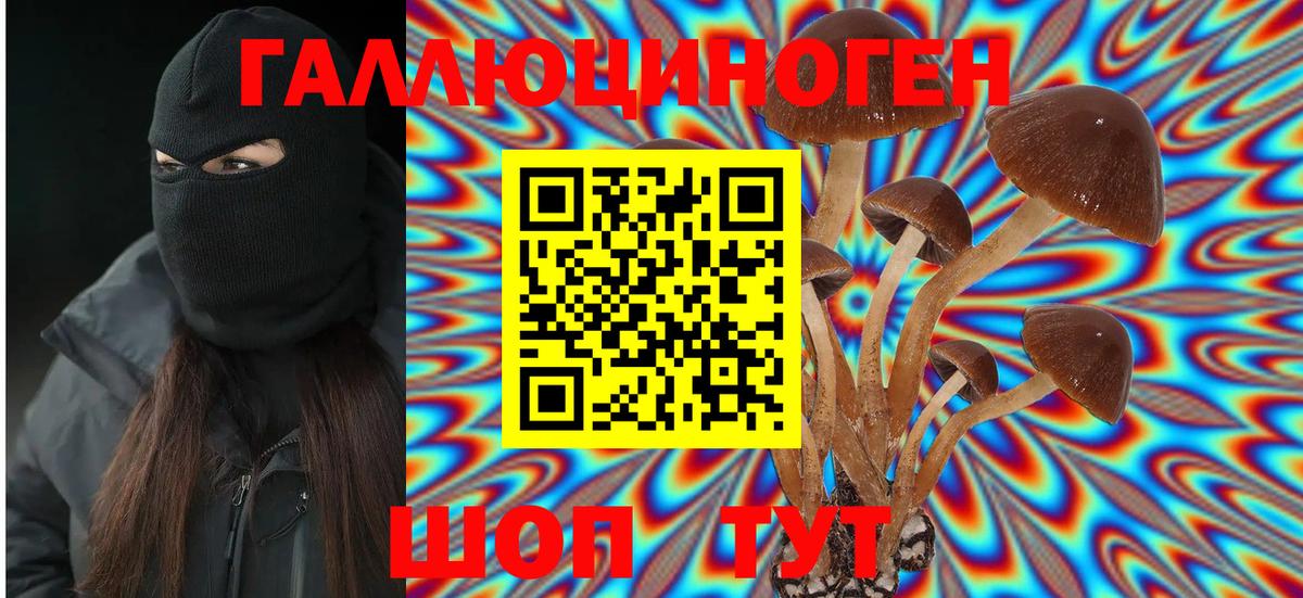 Псилоцибиновые грибы мухоморы  Псилоцибиновые грибы Psilocybine cubensis  Вход с VPN  Ногинск 