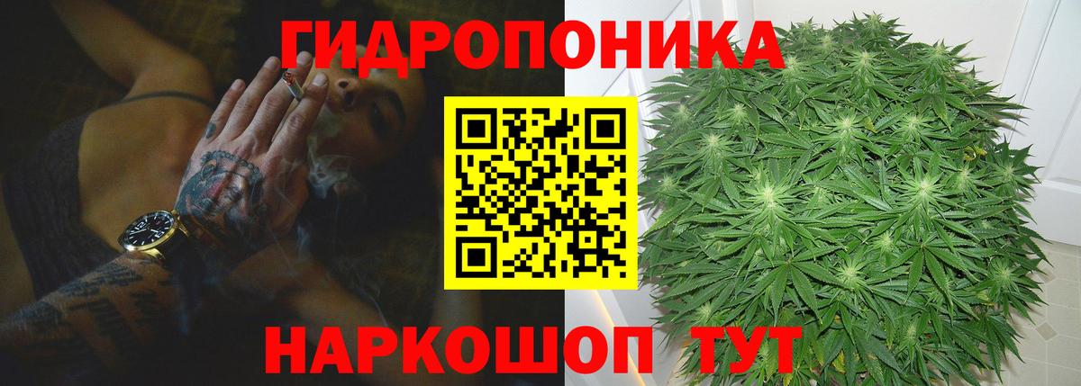 Конопля индика  Марихуана White Widow  Ногинск  Бошки марихуана Ganja  Бошки Шишки конопля  Вход с VPN 