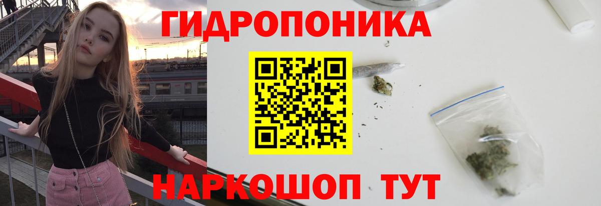 Шишки марихуана OG Kush Ногинск